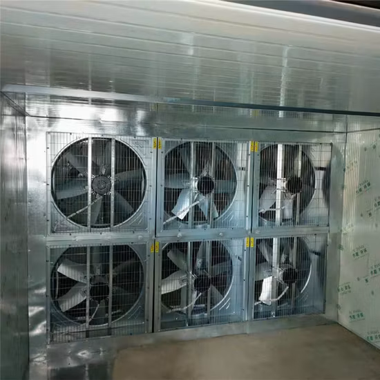Equipo de secado de frutas con aire caliente Secador de manzanas
